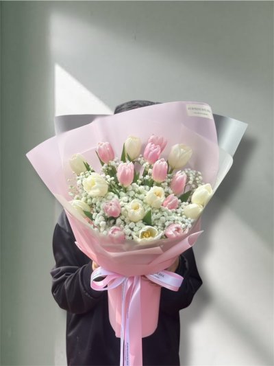 20 Blush Gypso Tulips